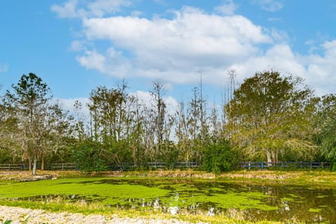 Pasture and Pond Views Lovely Lutz Apartment Apartment in Tampa