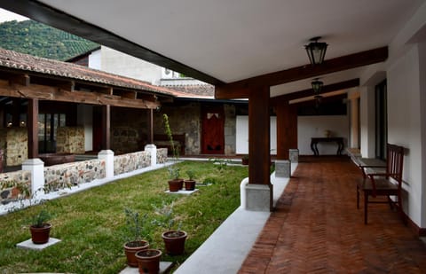 Patio, Garden, Garden
