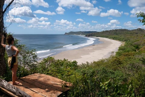 Garden, Beach, Sea view