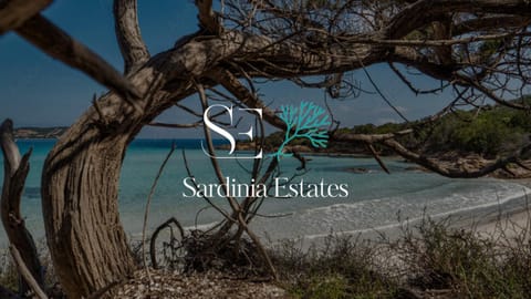 Logo/Certificate/Sign