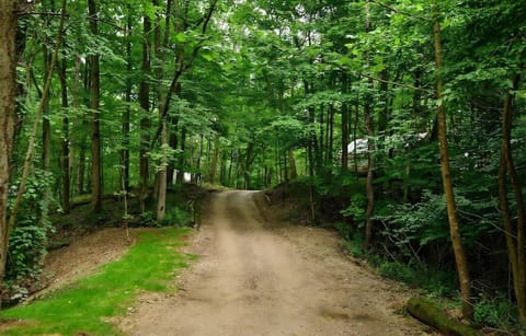 Natural landscape, View (from property/room)