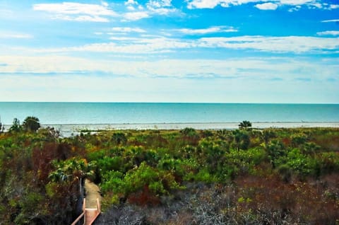 Natural landscape, Beach
