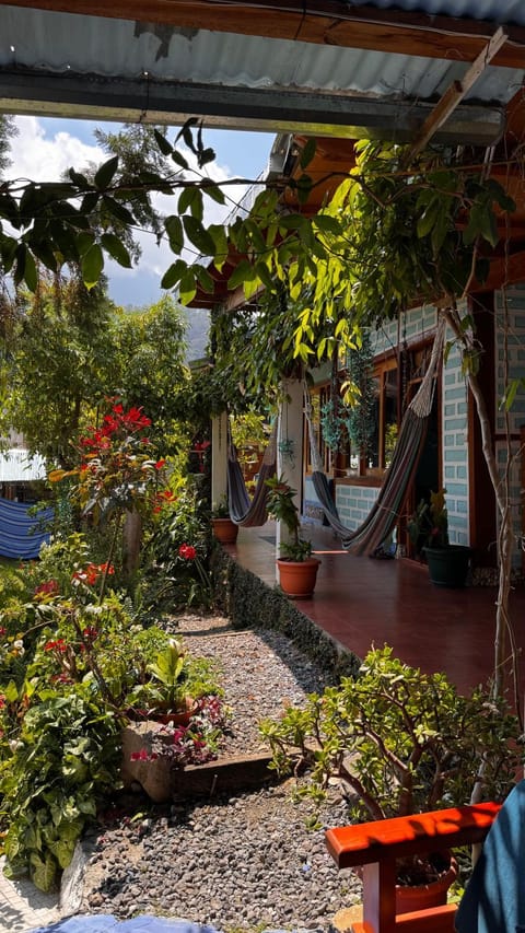 Patio, Garden, Balcony/Terrace