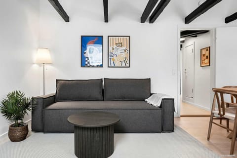The Royal City Suite Apartment in Aarhus