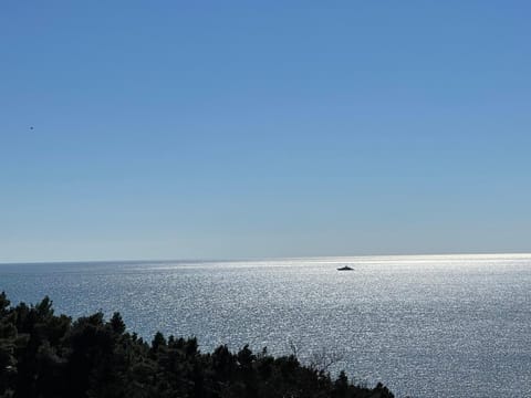 SOHO Apartments Apartment in Ulcinj