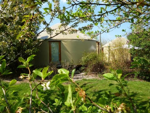 Property building, Spring, Natural landscape, Garden