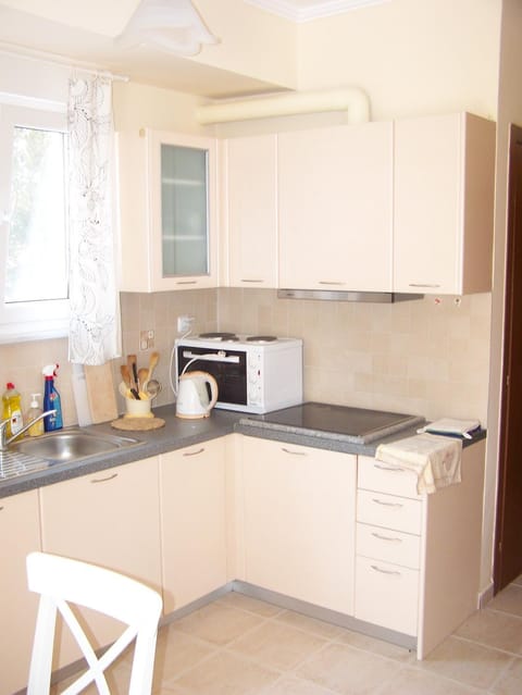 Eirini Apartment Apartment in Halkidiki