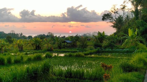 P'Moon Open Inn Vacation rental in Karangasem Regency