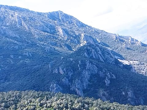 Hiking