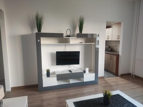 TV and multimedia