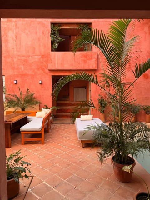 Patio, Garden, Swimming pool