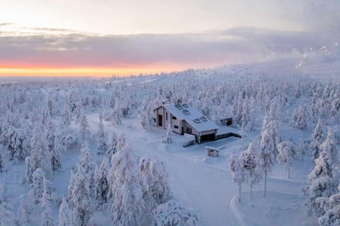 Day, Natural landscape, Winter