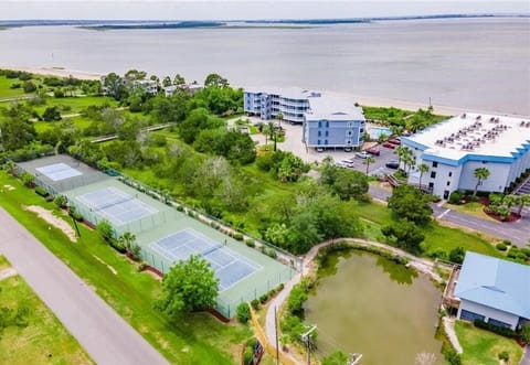 Property building, Neighbourhood, Bird's eye view
