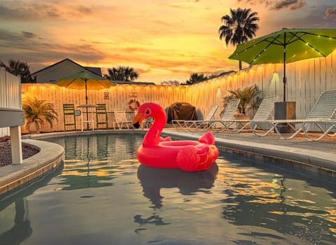 Pool view, Swimming pool, Swimming pool, Sunset, sunbed