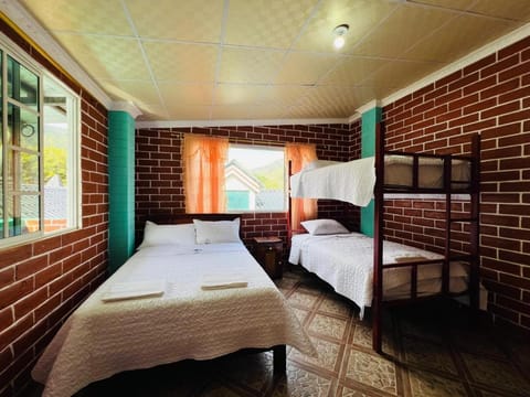 Bed, Photo of the whole room, Bedroom, bunk bed