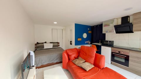 Bed, TV and multimedia, Kitchen or kitchenette, Living room, Photo of the whole room, Dining area, Bedroom, oven, stove