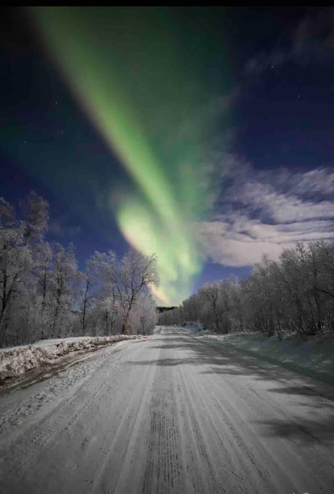 Large apartment with great views Apartment in Nordland, Norway