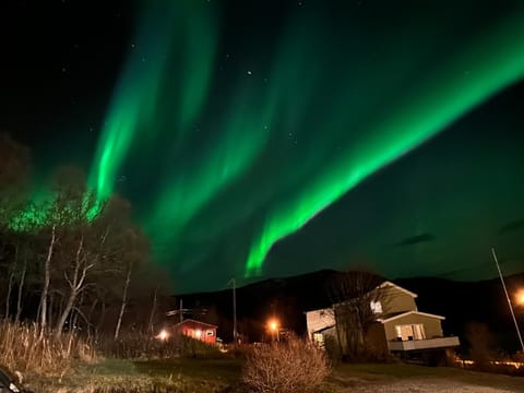 Large apartment with great views Apartment in Nordland, Norway