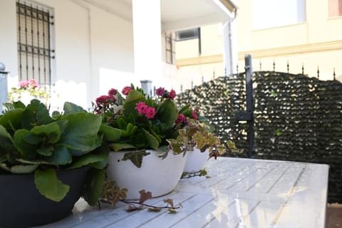 P050 - Porto Recanati, elegante trilocale in centro storico Apartment in Porto Recanati