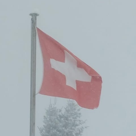 LogementVals Apartment in Vals