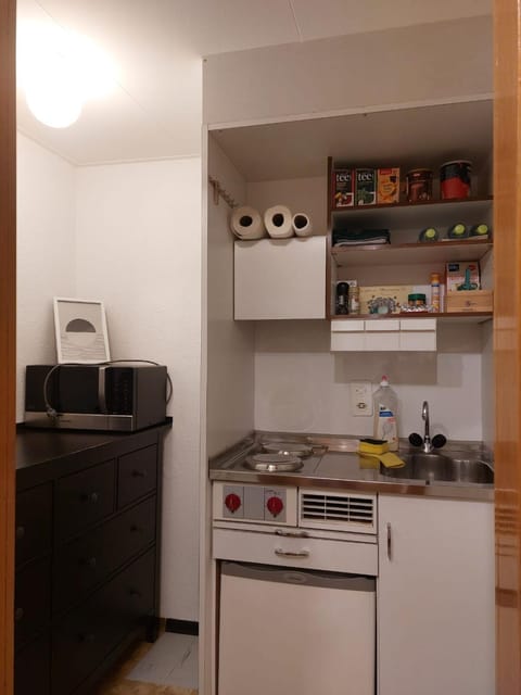 LogementVals Apartment in Vals