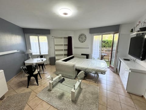 Chez pierre-Olivier Apartment in Saint-Julien-en-Genevois