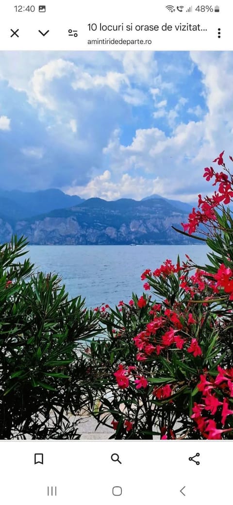 Lake view