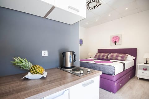 Apartments Pina and Lavender Apartment in Dubrovnik