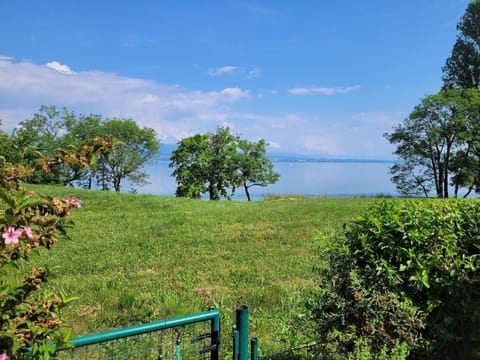 Appartement les pieds dans le Lac Léman Apartment in Thonon-les-Bains