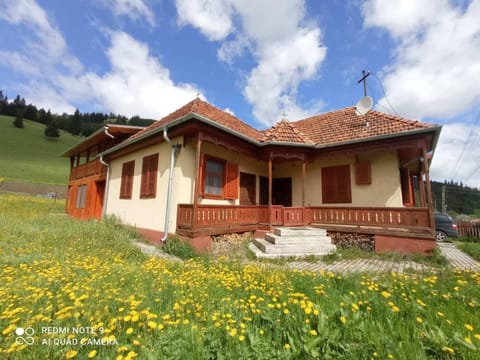 Property building, Spring, Natural landscape, Garden, Garden view
