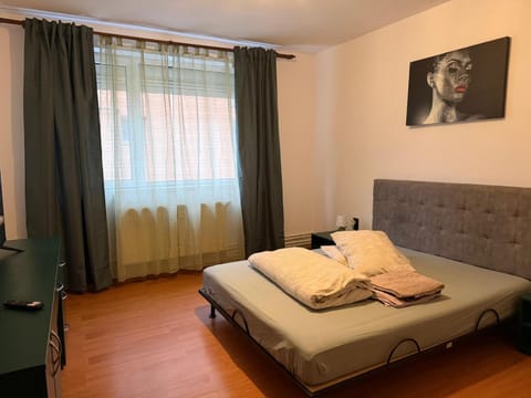 venus resort Apartment in Timisoara