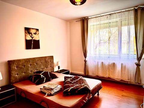 venus resort Apartment in Timisoara