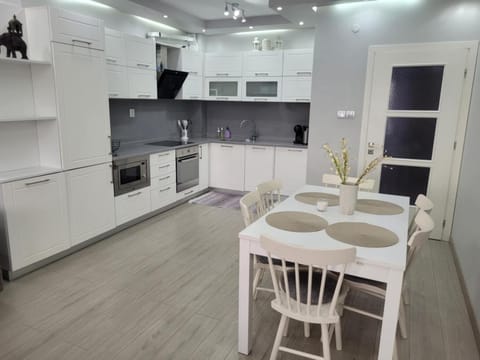 Kitchen or kitchenette, Dining area, dishwasher, oven, stove