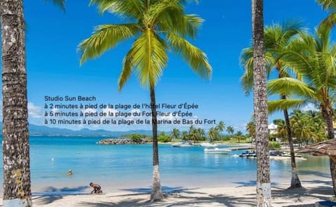 Nearby landmark, Natural landscape, Beach