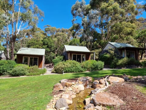 Garden, Garden view, Garden view