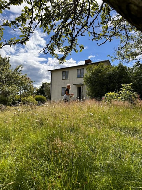 Property building, Spring, Day, Natural landscape, Garden, Garden view
