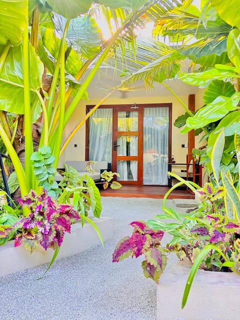 Day, Garden, Garden view