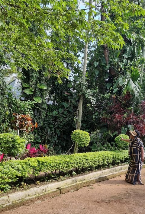 Garden, Garden view