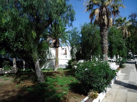 Neighbourhood, Garden