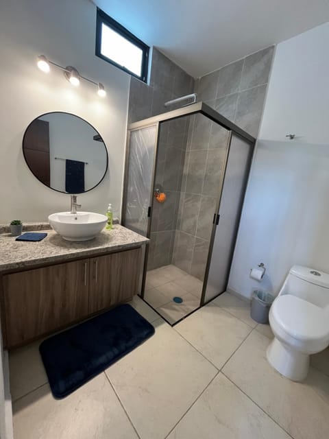 Shower, Toilet, Bathroom, towels