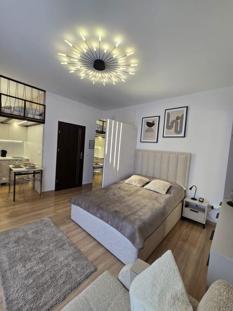 Bed, Kitchen or kitchenette, Living room, Photo of the whole room, Bedroom