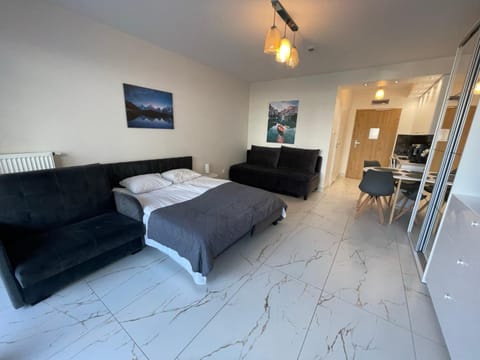 Apartamenty Kasprowicza 20 z basenem, siłownią, jacuzzi, grotą solną, saunami Apartment in West Pomeranian Voivodeship, Poland