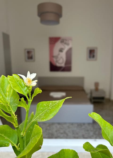 Photo of the whole room, Decorative detail