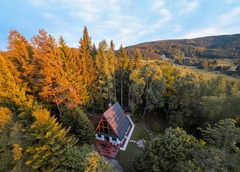 Property building, Garden, Landmark view