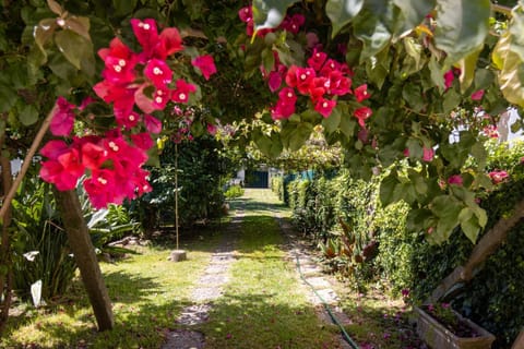 Off site, Garden, Garden view