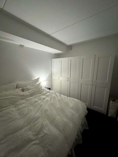 Spacious & Cosy City Centre Gem Apartment in Tromso