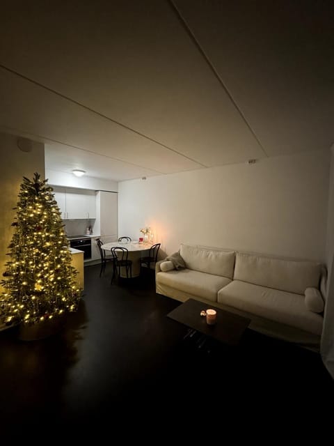 Spacious & Cosy City Centre Gem Apartment in Tromso