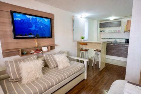 TV and multimedia, Kitchen or kitchenette, Living room, Seating area, Dining area, oven, pet friendly, stove