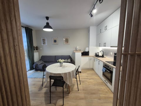 Kitchen or kitchenette, Living room, Seating area