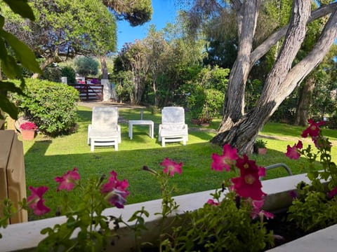 Spring, Day, Natural landscape, Garden, Garden view, sunbed